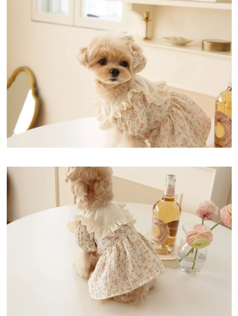 CokeMill Korean Floral Romantic Dog Dress